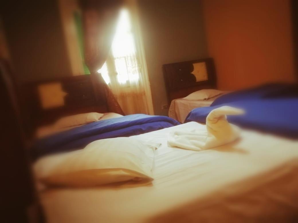 Hi Nile Plaza Hostel Kairo Eksteriør billede